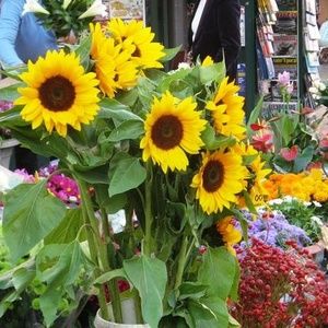 Meet your Posher, Deborah